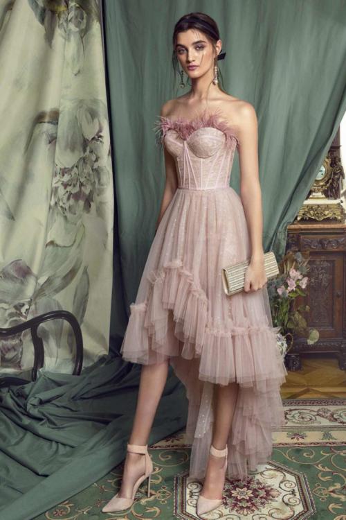 A-line Strapless Sleeveless Feathers Lace Asymmetrical/High Low Long Prom Dress