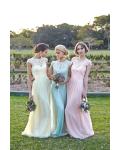 Illusion Bateau Neck Column Lace Bodice Long Chiffon Bridesmaid Dress 